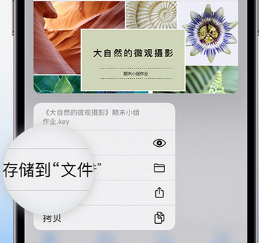 商都apple维修中心分享iPhone文件应用中存储和找到下载文件