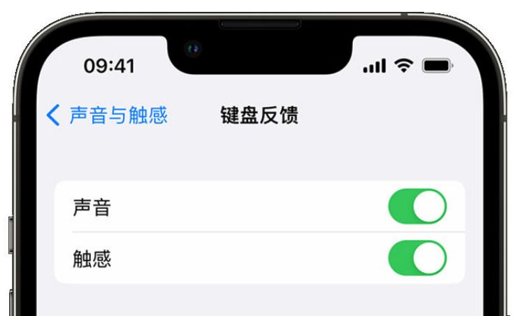 商都苹果手机维修分享iPhone 14触感键盘使用方法 