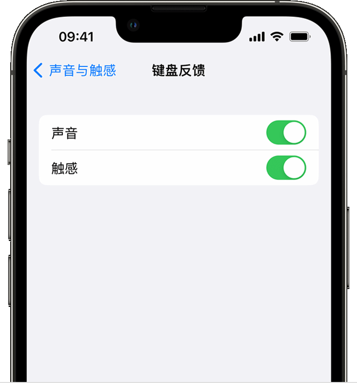 商都苹果14维修店分享如何在 iPhone 14 机型中使用触感键盘 