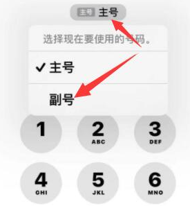 商都苹果14维修店分享iPhone 14 Pro Max使用副卡打电话的方法 