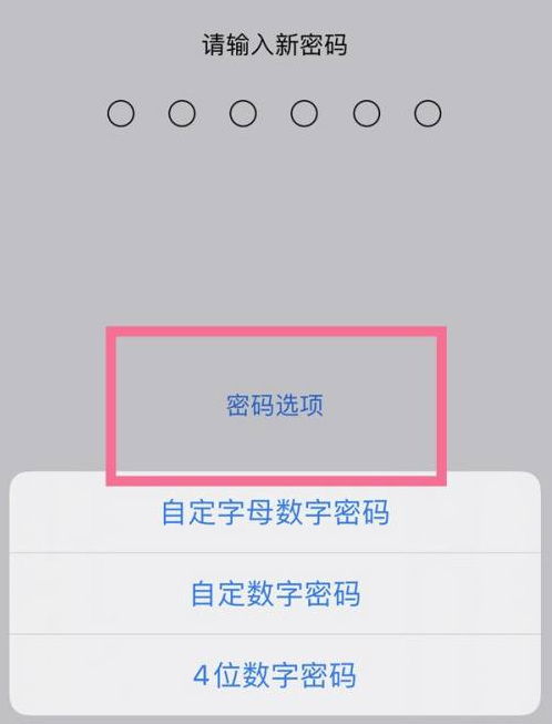 商都苹果14维修分享iPhone 14plus设置密码的方法 