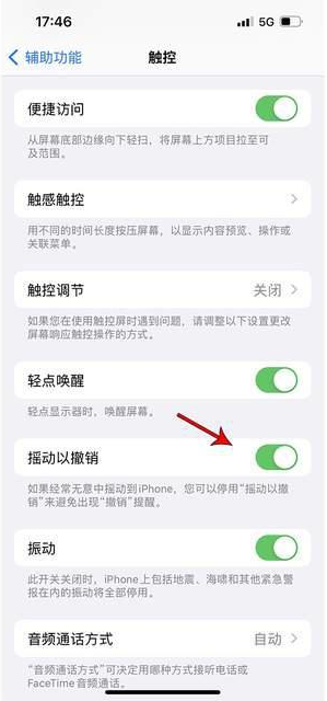 商都苹果手机维修分享iPhone手机如何设置摇一摇删除文字 