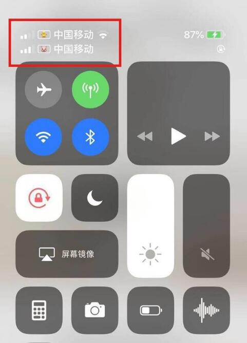 商都苹果手机维修分享为 iPhone 12 双卡设置标签 